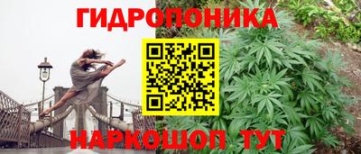 дживик Усть-Илимск